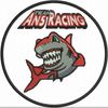 Logo of the association Team ANS Racing